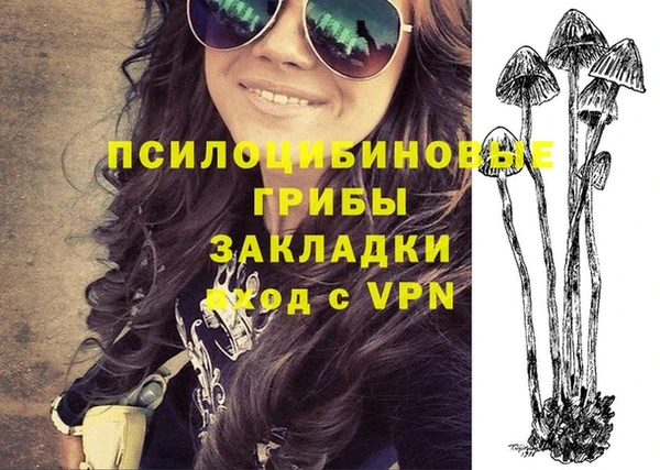 кокаин премиум Ельня
