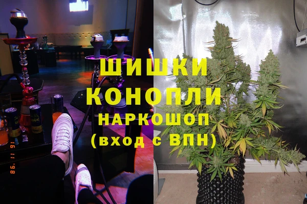 стафф Елабуга